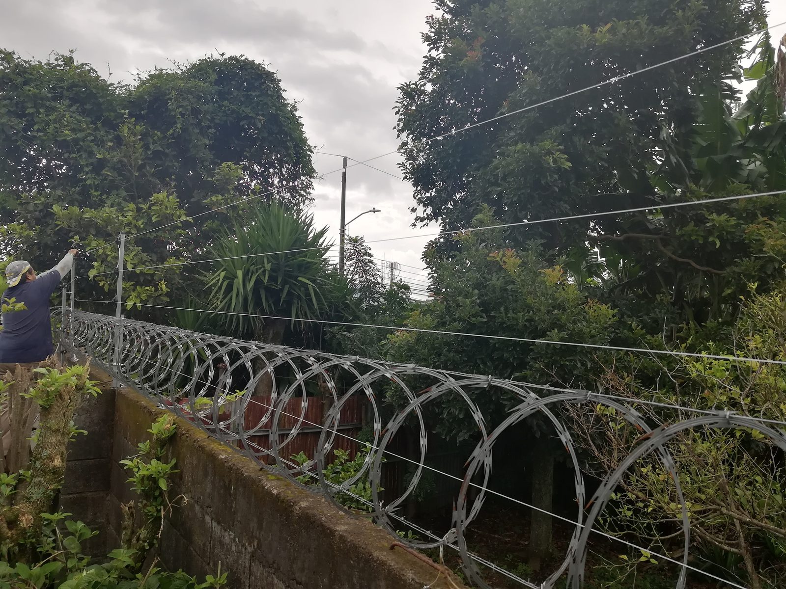 Técnico instalando alambre navaja sobre muro